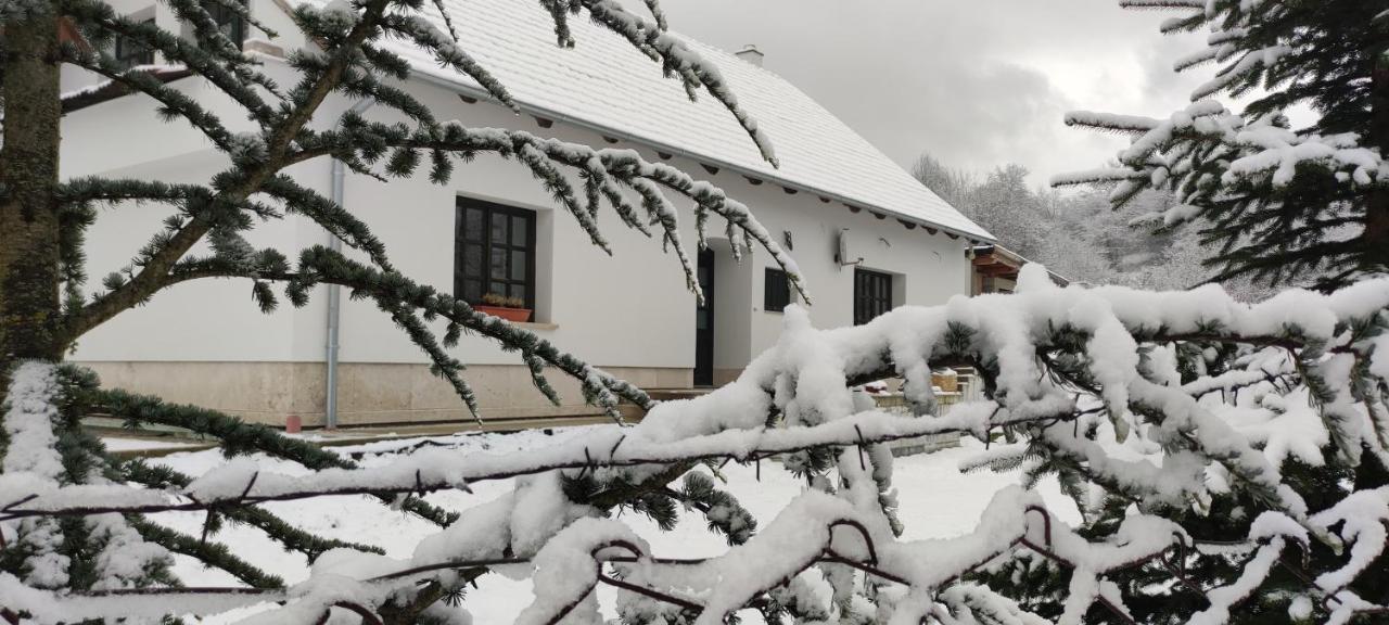 Gerecse Vendégház Sutto Exterior foto