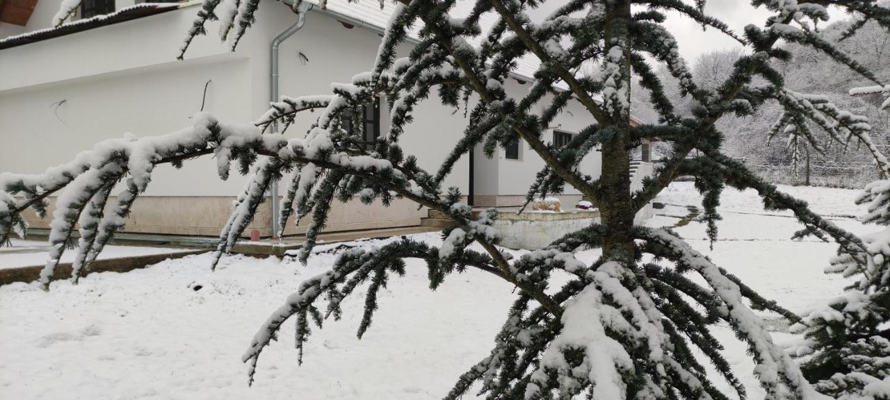 Gerecse Vendégház Sutto Exterior foto